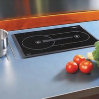 Webasto Diesel Cooker hob X100