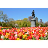 Self-Guided Walking Tour Bundle of Salem Witch Trials and Boston Freedom Trail