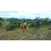 Horseback Riding San Antonio, Texas Hill Country - 2 Hours