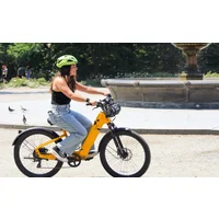 New York City e-Bike Rental - Day Pass