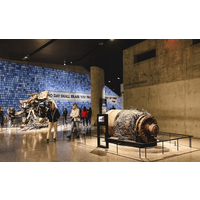 911 Memorial Museum & 60 Lady Liberty Cruise, New York City - 4 Hours