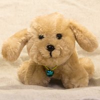 Make Your Own Puppy - 7.00 Make Your Own Puppy