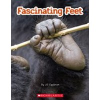 Connectors Silver: Fascinating Feet (6 Copies)