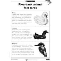 Education Digital Downloads: Riverbank fact cards