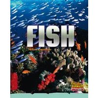 Fast Forward Turquoise: Fish (Non-fiction) Level 17