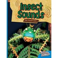 Fast Forward Blue: Insect Sounds (Non-fiction) Level 11
