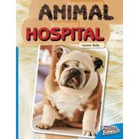 Fast Forward Blue: Animal Hospital (Non-fiction) Level 10