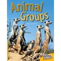 Fast Forward Yellow: Animal Groups (Non-fiction) Level 6