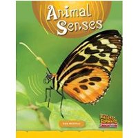 Fast Forward Yellow: Animal Senses (Non-fiction) Level 6