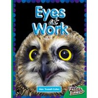 Fast Forward Emerald: Eyes at Work (Non-fiction) Level 25