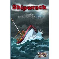 Fast Forward Silver: Shipwreck (Fiction) Level 24