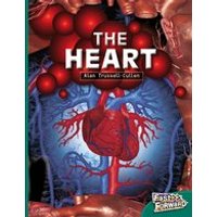 Fast Forward Green: The Heart (Non-fiction) Level 14