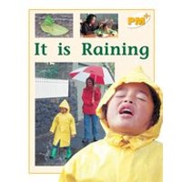 PM Yellow: It is Raining (PM Plus Non-fiction) Levels 8, 9