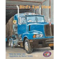 PM Turquoise: Bird's Eye View (PM Storybooks) Levels 17, 18