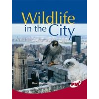 PM Ruby: Wildlife in the City (PM Plus Non-fiction) Levels 27,28