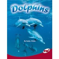PM Ruby: Dolphins (PM Plus Non-fiction) Level 27,28