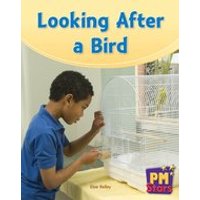 PM Green: Looking After a Bird (PM Stars) Level 14/15