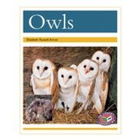 PM Gold: Owls (PM Non-fiction) Level 22