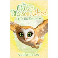 Blossom Wood: The Owls of Blossom Wood - To the Rescue