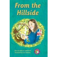 PM Sapphire: From the Hillside (PM Chapter Books) Level 30