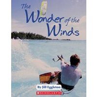 Connectors Ages 10+: The Wonder of the Winds (6 Copies)