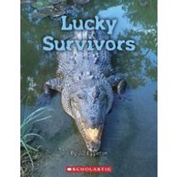 Connectors Gold: Lucky Survivors (6 Copies)