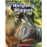 Connectors Turquoise: Helping Hippos (6 Copies)