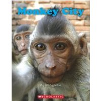 Connectors Turquoise: Monkey City (6 Copies)