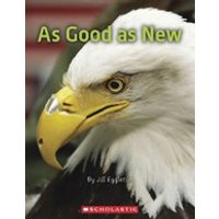 Connectors Gold: As Good as New (6 Copies)