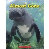 Connectors Turquoise: Almost Gone (6 Copies)
