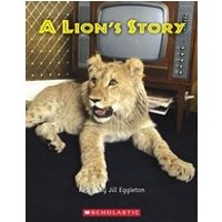 Connectors Orange: A Lion's Story (6 Copies)