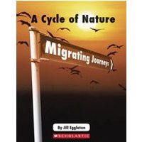Connectors Ages 11+: A Cycle of Nature - Migrating Journeys (6 Copies)