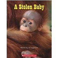 Connectors Orange: A Stolen Baby (6 Copies)