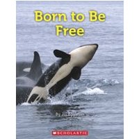 Connectors Orange: Born to Be Free (6 Copies)