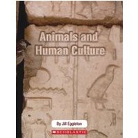 Connectors Ages 11+: Animals and Human Culture (6 Copies)