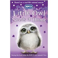 RSPCA #5: Little Owl Needs a Home