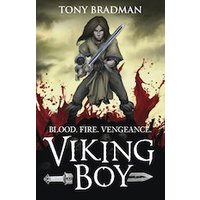 Viking Boy