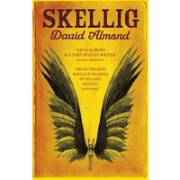 Scholastic Enjoy 51% Discount on Skellig Get 6 Copies