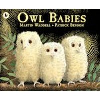 Owl Babies (30 Copies)