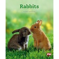 PM Orange: Rabbits (PM Non-fiction) Level 15/16