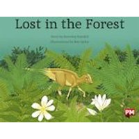 PM Orange: Lost in the Forest (PM Storybooks) Level 16