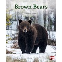 PM Turquoise: Brown Bears (PM Non-fiction) Levels 18/19