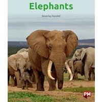 PM Turquoise: Elephants (PM Non-fiction) Levels 18/19