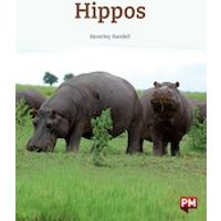 PM Turquoise: Hippos (PM Non-fiction) Levels 18/19