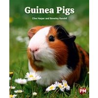 PM Orange: Guinea Pigs (PM Non-fiction) Level 15/16