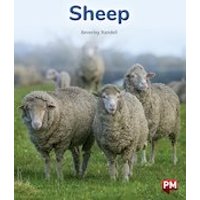PM Purple: Sheep (PM Non-fiction) Levels 20/21