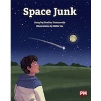 PM Gold: Space Junk (PM Storybooks) Level 22
