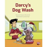PM Gold: Darcy's Dog Wash (PM Storybooks) Level 22
