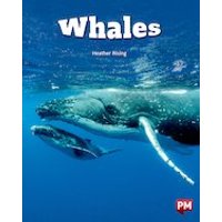 PM Silver: Whales (PM Non-fiction) Level 24
