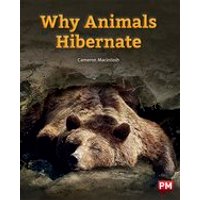 PM Purple: Why Animals Hibernate (PM Non-fiction) Level 20
